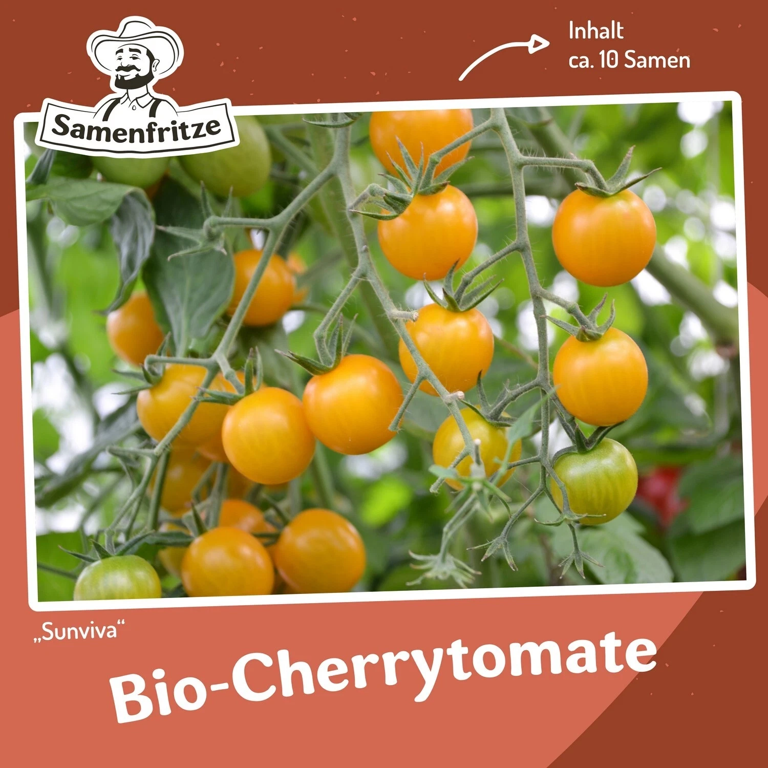 Sunviva Cherrytomate