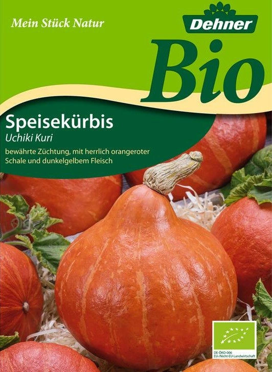 Speisekürbis Uchiki Kuri