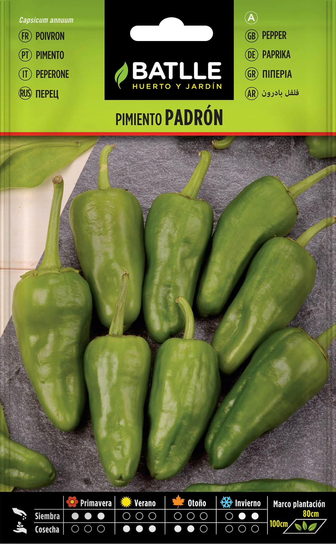 Pimiento Padrón